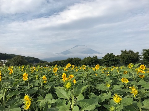 2017/08/28の写真