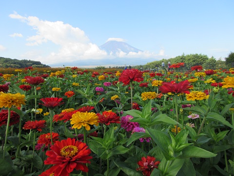 2017/09/10の写真