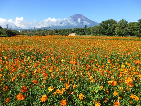 2017/09/13の写真