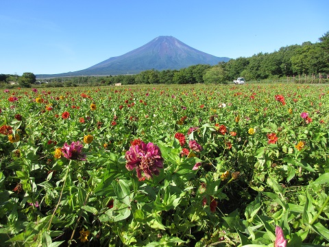 2017/09/18の写真