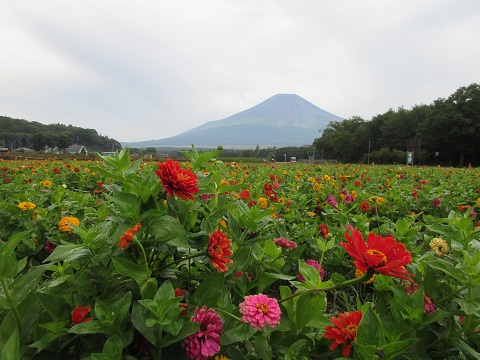 2017/09/20の写真