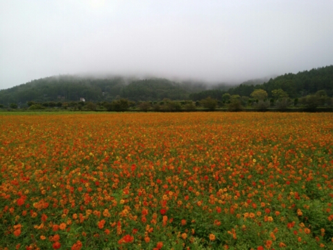 2017/09/29の写真