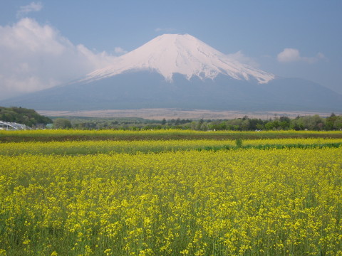 2008/05/17の写真