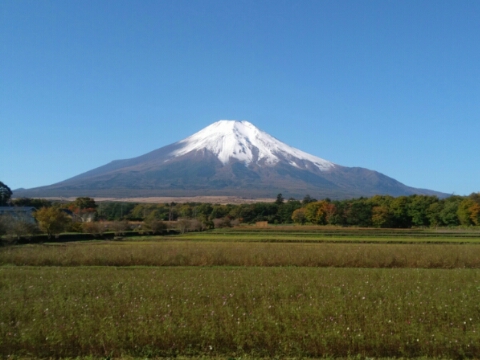 2017/10/26の写真