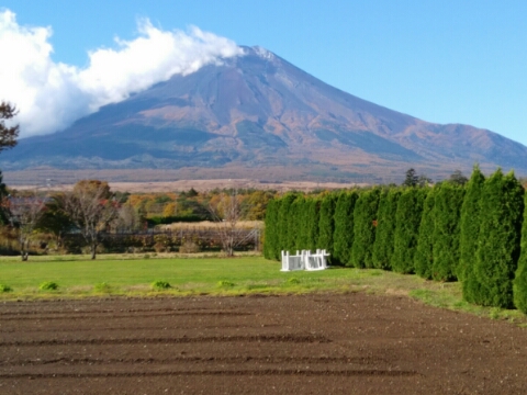 2017/10/30の写真