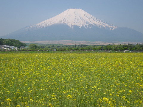 2008/05/23の写真