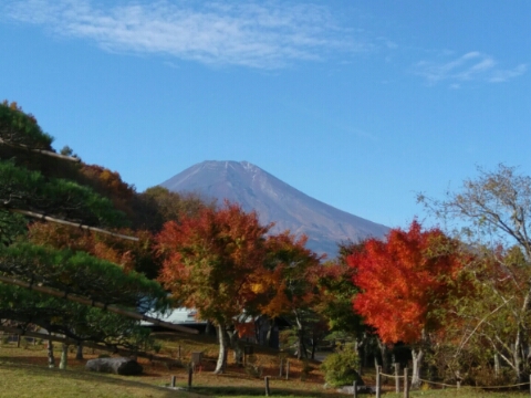 2017/11/01の写真