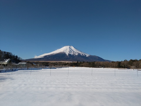 2018/01/26の写真