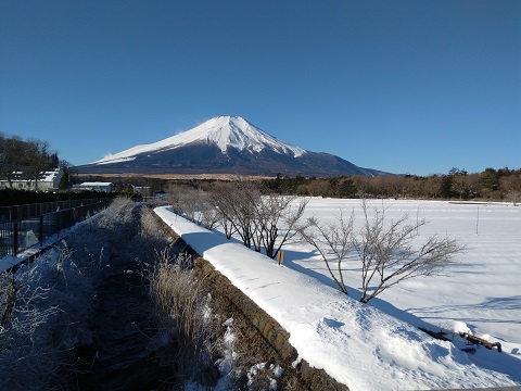 2018/01/26の写真