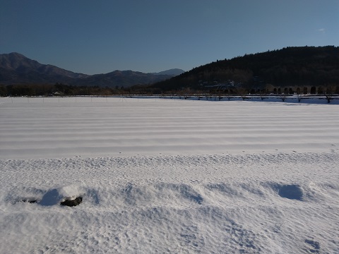 2018/02/09の写真