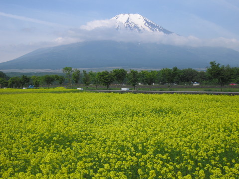 2008/06/10の写真