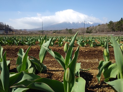 2018/04/09の写真