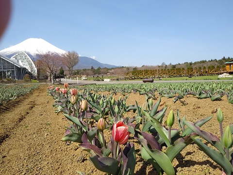 2018/04/13の写真