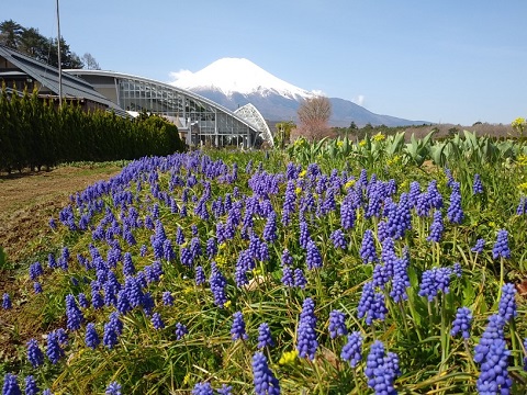 2018/04/13の写真