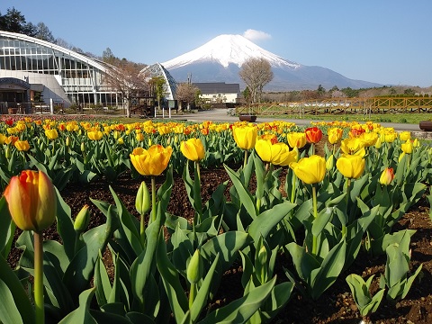 2018/04/20の写真