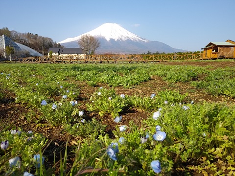 2018/04/20の写真