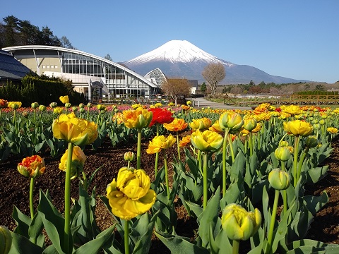 2018/04/22の写真