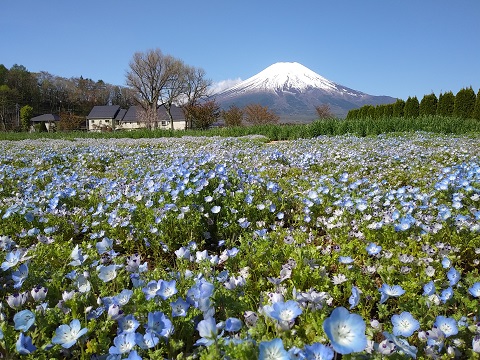 2018/04/26の写真