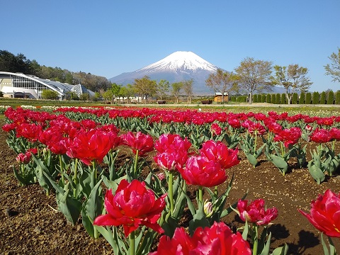 2018/04/28の写真