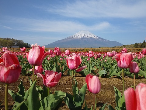 2018/04/30の写真