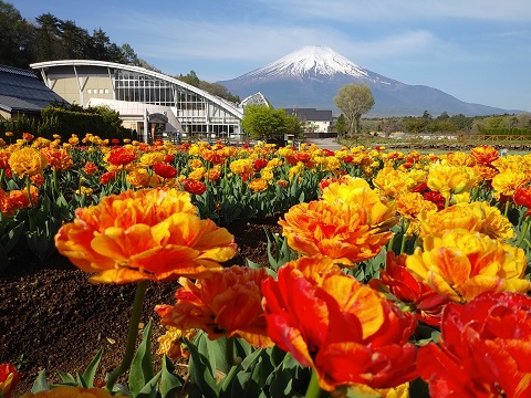 2018/04/30の写真