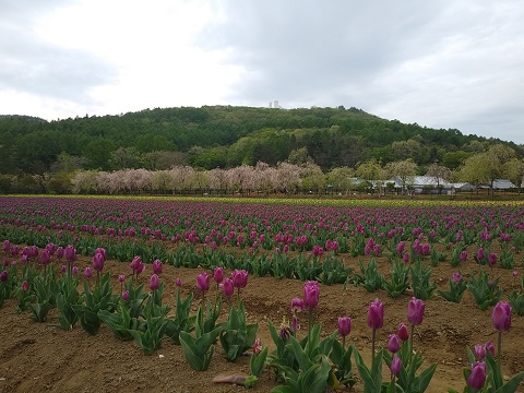 2018/05/02の写真