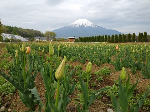 2018/05/02の写真