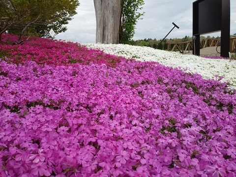 2018/05/02の写真