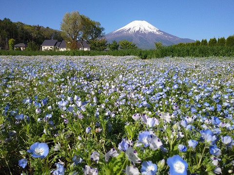 2018/05/04の写真