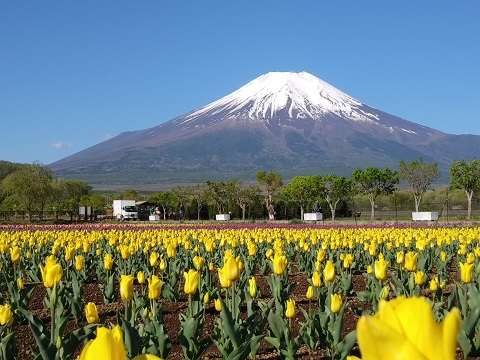 2018/05/04の写真