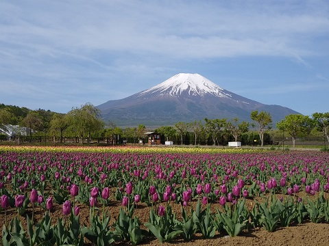 2018/05/06の写真