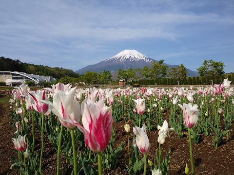 2018/05/06の写真