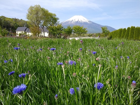 2018/05/06の写真