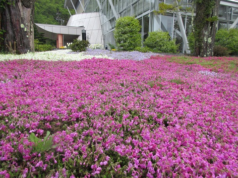 2018/05/09の写真