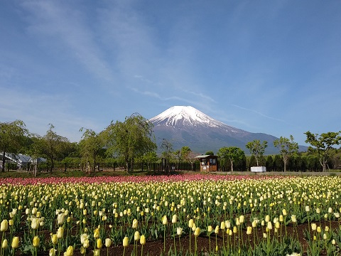 2018/05/11の写真