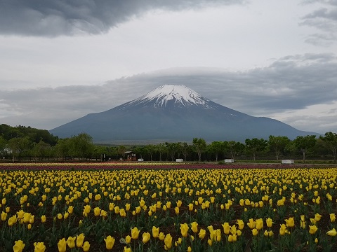 2018/05/13の写真