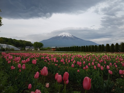 2018/05/13の写真