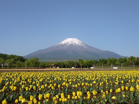 2018/05/15の写真