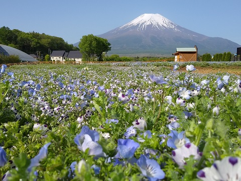 2018/05/15の写真