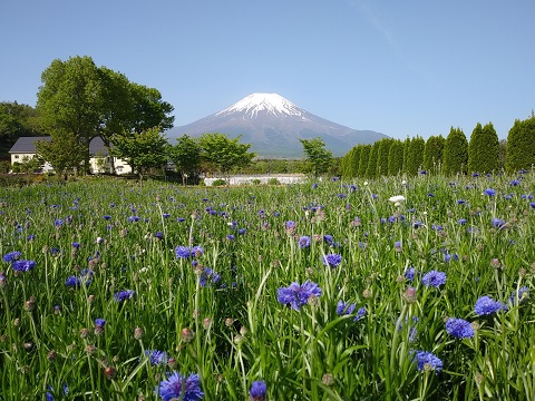 2018/05/15の写真