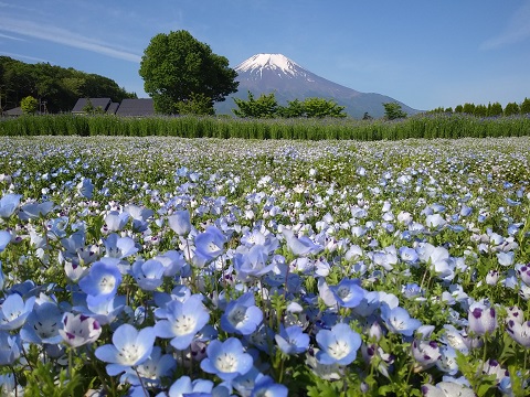 2018/05/22の写真