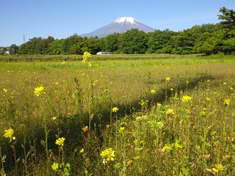 2018/06/05の写真