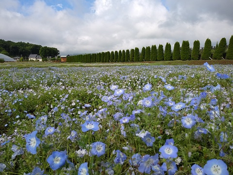 2018/06/12の写真