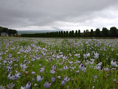 2018/06/15の写真