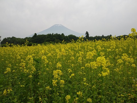 2018/06/23の写真