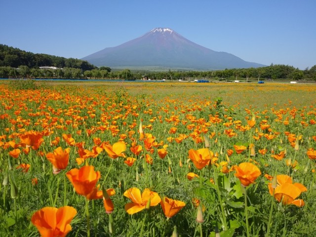 2018/06/25の写真