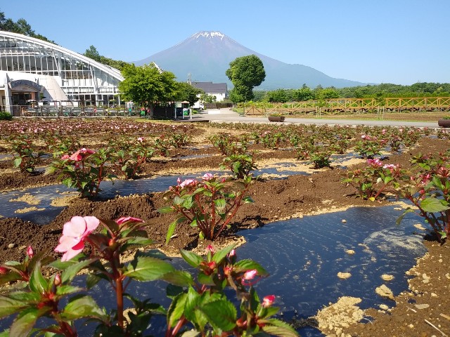 2018/06/25の写真