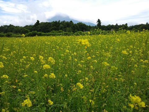 2018/06/28の写真