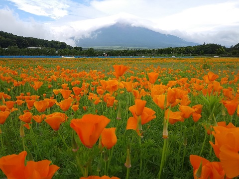 2018/06/28の写真