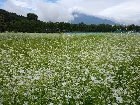 2018/06/28の写真